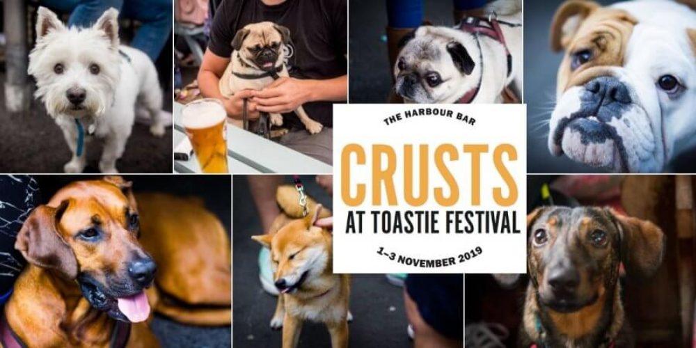 There’s a dog show at this pubs toastie festival. It’s called ‘Crusts’.
