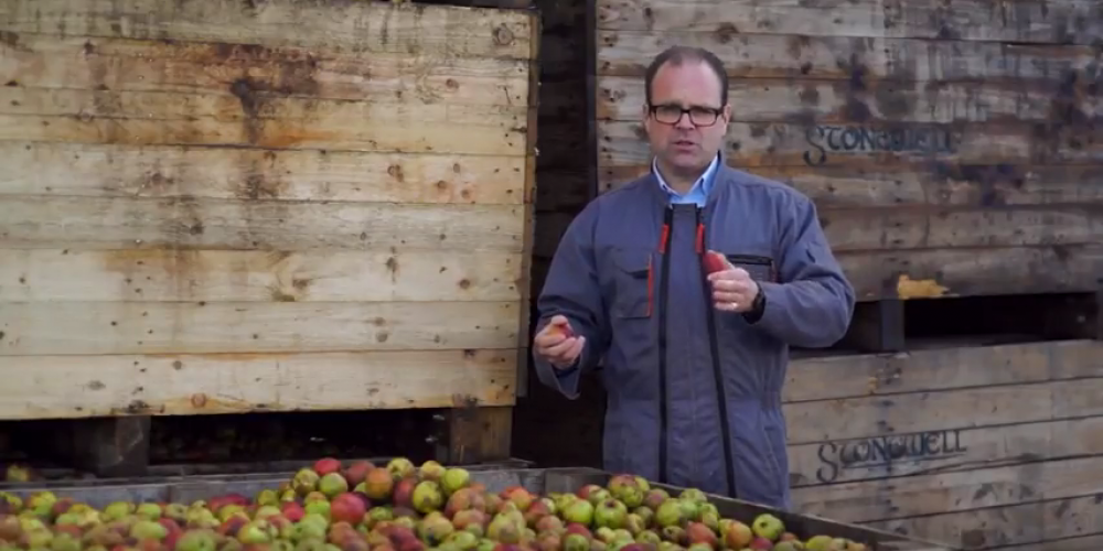 Video: Here’s how craft cider is made in Ireland.